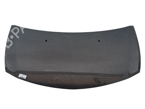 Used Hood RENAULT CLIO III (BR0/1, CR0/1) 1.5 dCi (BR17, CR17) (86 hp) 22731313