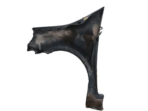 Right front fenders RENAULT MODUS / GRAND MODUS (F/JP0_) 1.5 dCi (FP0D, JP0D) | BP30808534C42