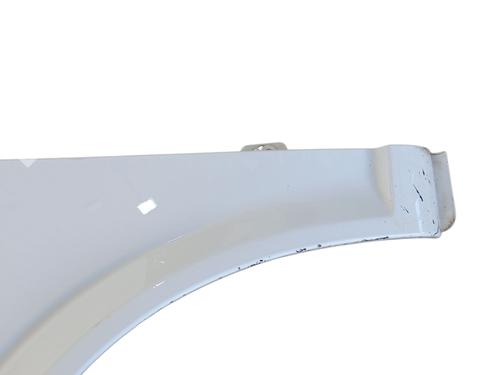 Left front fenders MERCEDES-BENZ VITO / MIXTO Van (W639) 109 CDI (639.601, 639.603, 639.605) | BP29074200C41 