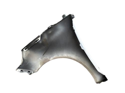 Right front fenders RENAULT SCÉNIC III (JZ0/1_) 1.5 dCi | BP9146574C42 