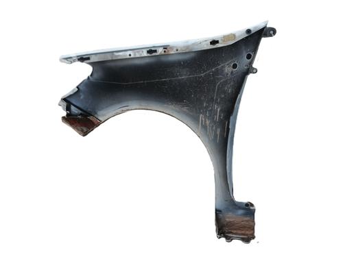 Right front fenders RENAULT CLIO III (BR0/1, CR0/1) 1.2 16V (BR02, BR0J, BR11, CR02, CR0J, CR11) | BP30179062C42