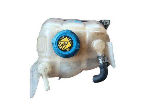 Expansion tank FIAT DUCATO Van (250_) 115 Multijet 2,0 D | BP29121785C120 