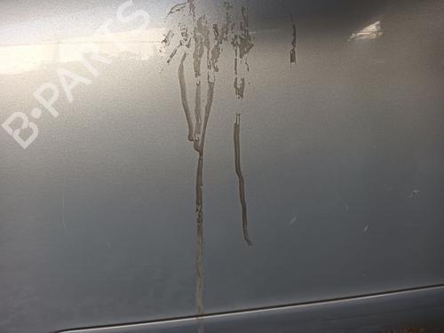 Left front door OPEL ZAFIRA / ZAFIRA FAMILY B (A05) 1.9 CDTI (M75) | BP22313536C2 