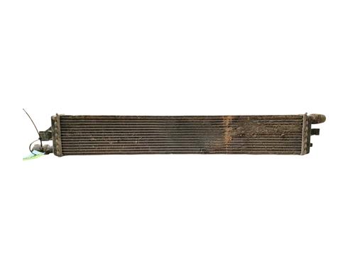 Water radiator RENAULT MASTER III Van (FV) 2.3 dCi 130 FWD (FV0M, FV0Y, FV0J, FV02, FV03) | BP29993493M31