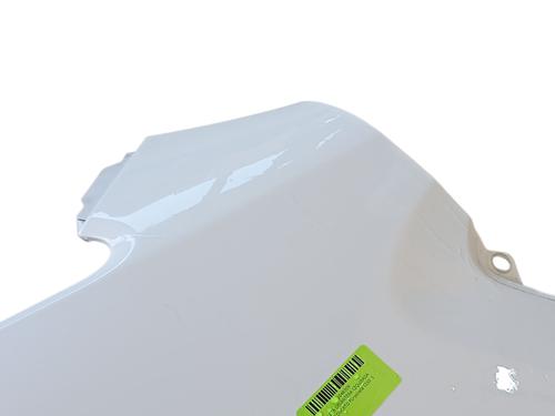 Left front fenders FIAT DUCATO Bus (250_) 140 Multijet 2,2 D | BP29351031C41 