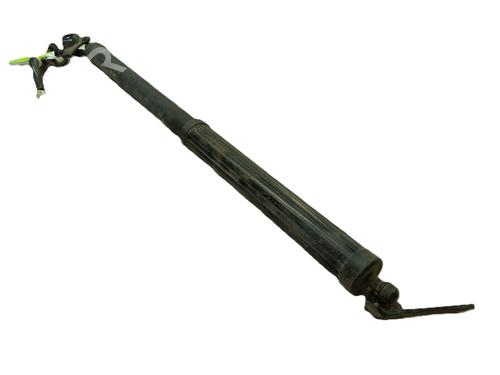 Used Tailgate lift support LEXUS NX (_Z1_) 300h (AYZ10_) (155 hp) 32673282