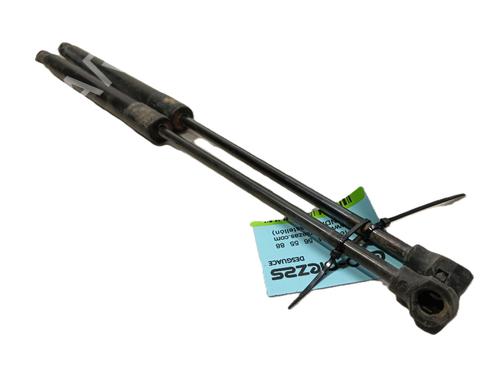 Used Tailgate lift support DACIA SANDERO II 1.2 (75 hp) 25006029