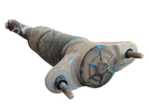 Left rear shock absorber TESLA MODEL Y (5YJY)  | BP26566238M18 