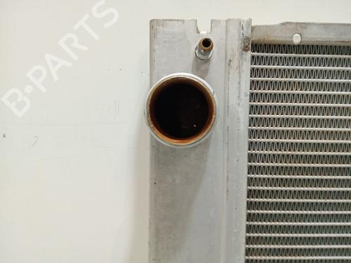 Water radiator LAND ROVER RANGE ROVER III (L322) 4.4 4x4 | BP29250221M31