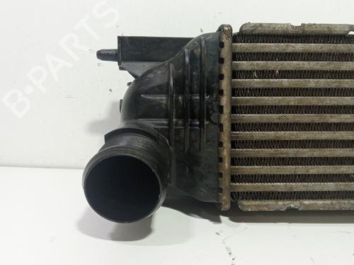 Intercooler PEUGEOT 407 (6D_) 2.0 HDi 135 (6DRHRH, 6DRHRE, 6DRHRG, 6DRHRJ) | BP30104703M30