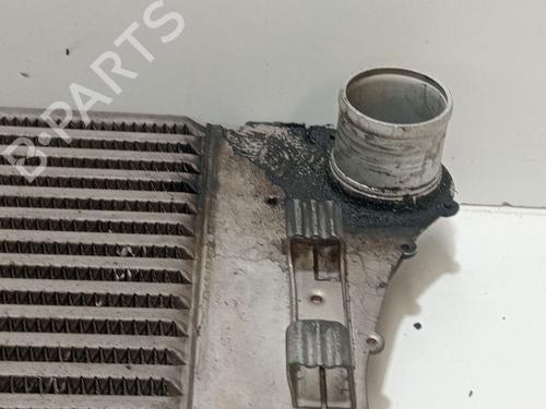 Intercooler RENAULT MEGANE II (BM0/1_, CM0/1_) 1.5 dCi (BM0F, BM0T, BM2B, CM0F, CM0T) | BP29869928M30