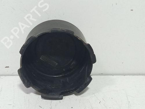 Hub cap NISSAN TERRANO II (R20) 2.7 TD 4WD | BP29202429C160 