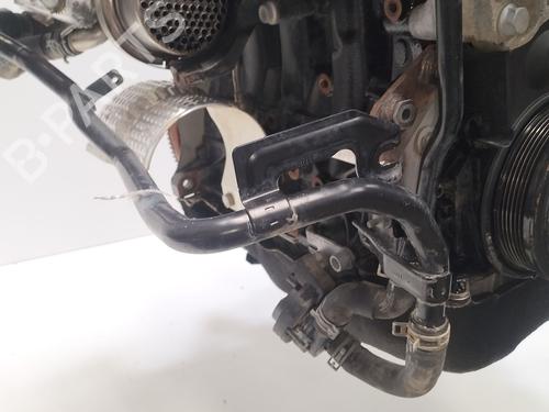 Engine VW GOLF VII (5G1, BQ1, BE1, BE2) 1.6 TDI | BP35955294M1 - Image 22
