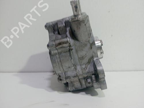 Vacuum pump SEAT ALTEA (5P1) 2.0 TDI | BP30111376M80