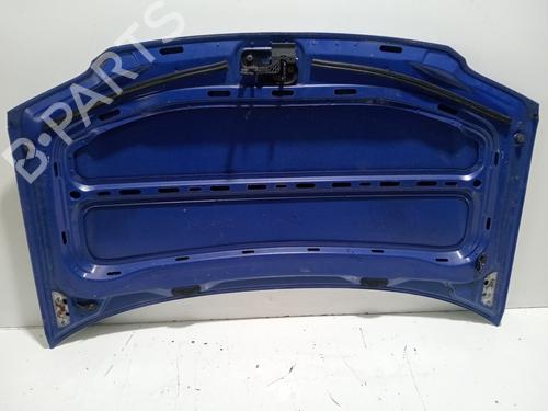 Hood VW CADDY III MPV (2KB, 2KJ, 2CB, 2CJ) | BP32369097C1