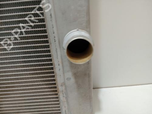 Water radiator LAND ROVER RANGE ROVER III (L322) 4.4 4x4 | BP29250221M31