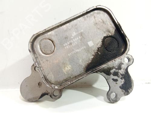 Used Egr PEUGEOT 308 II (LB_, LP_, LW_, LH_, L3_) 1.2 THP 130 (131 hp) 30368584