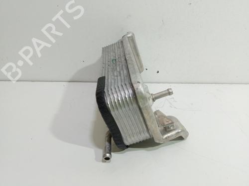 Oil radiator MERCEDES-BENZ C-CLASS (W203)  | BP30062018M33 