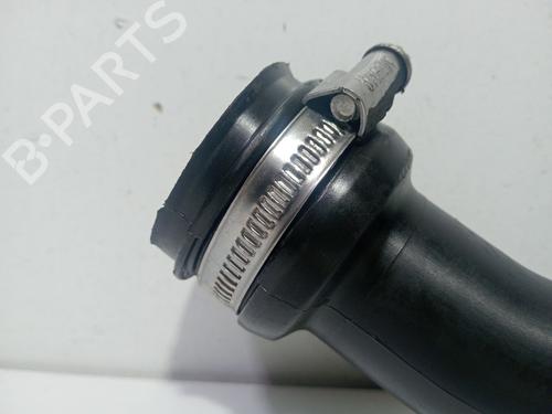 Pipe RENAULT MEGANE II (BM0/1_, CM0/1_) 1.9 dCi (BM0G, CM0G) | BP30053631M125