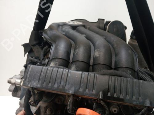 Motor VW CADDY III MPV (2KB, 2KJ, 2CB, 2CJ)  | BP28042231M1 