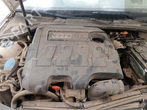 Used Engine AUDI A3 (8P1) 1.6 TDI (105 hp) 29276583