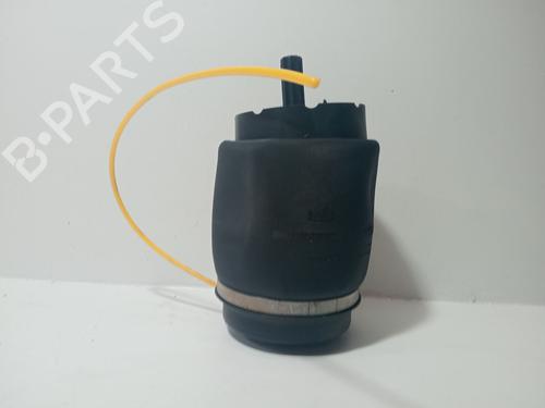 Venstre bak støtdemper LAND ROVER RANGE ROVER III (L322) 4.4 4x4 (286 hp) 29250116