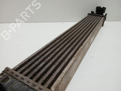 Intercooler MERCEDES-BENZ B-CLASS Sports Tourer (W245) B 180 CDI (245.207) | BP22750257M30 