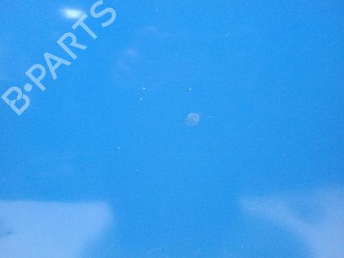 Hood VW CADDY III MPV (2KB, 2KJ, 2CB, 2CJ) | BP32369097C1