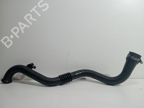 Used Pipe RENAULT MEGANE II (BM0/1_, CM0/1_) [2001-2012]  29869936