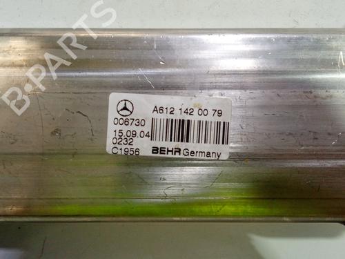 EGR-Ventil MERCEDES-BENZ M-CLASS (W163) ML 270 CDI (163.113) | BP30053635M69