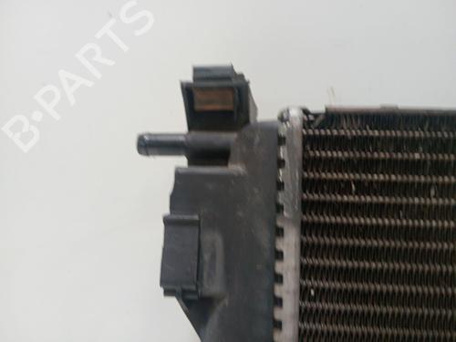 Water radiator RENAULT MEGANE II (BM0/1_, CM0/1_)  | BP29869932M31