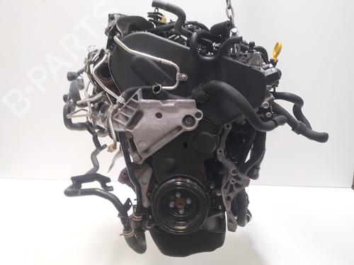 Engine VW GOLF VII (5G1, BQ1, BE1, BE2) 1.6 TDI | BP35955294M1 - Image 14