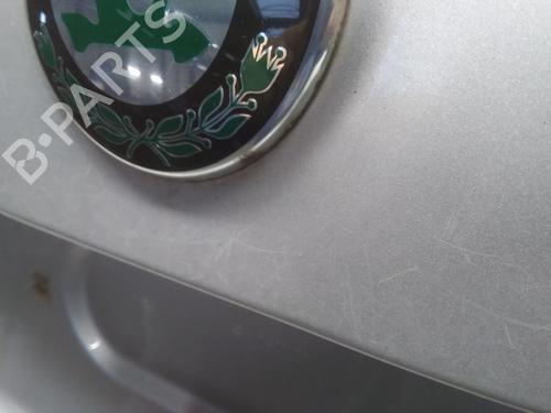 Tailgate SKODA ROOMSTER (5J7) 1.4 | BP29013313C6 