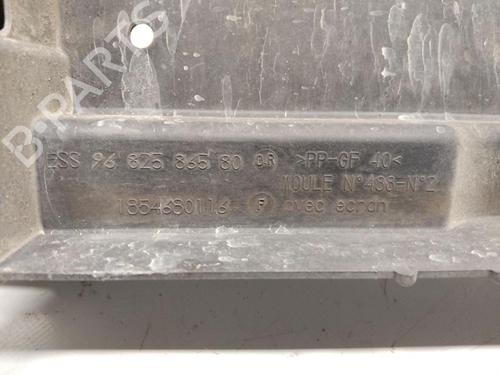 Front slam panel PEUGEOT 207 SW (WK_) 1.4 16V | BP30136233C72 