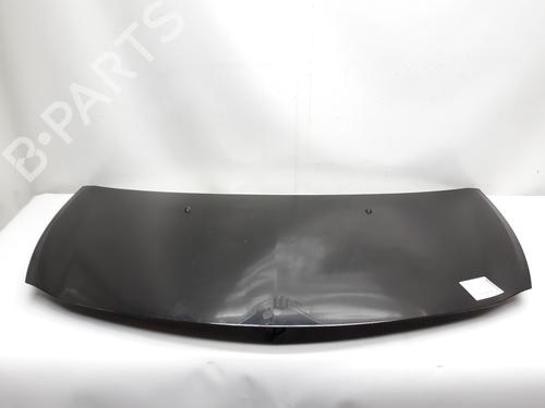 Hood RENAULT CLIO III (BR0/1, CR0/1)  | BP20522772C1 
