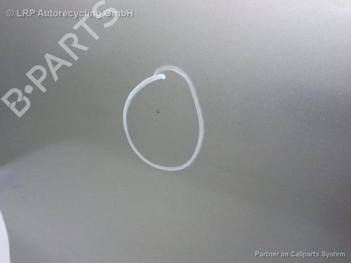 Left front door FIAT BRAVA (182_) 1.6 16V (182.BU) | BP20581857C2 