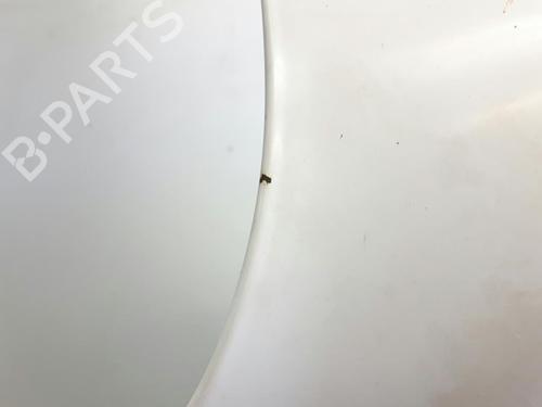 Hood FIAT DOBLO Box Body/MPV (223_) 1.3 JTD 16V | BP20563088C1 