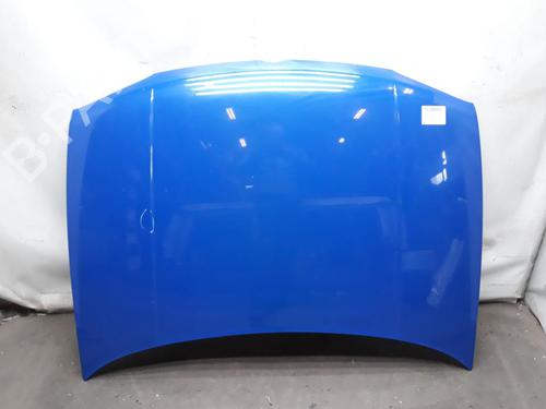 Used Hood VW GOLF IV (1J1) 1.6 (100 hp) 20562955