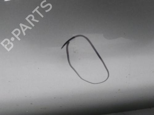 Right front door NISSAN MICRA III (K12) 1.2 16V | BP20515332C3 