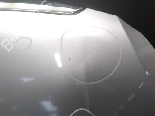 Hood SKODA ROOMSTER (5J7) 1.4 | BP29013312C1 