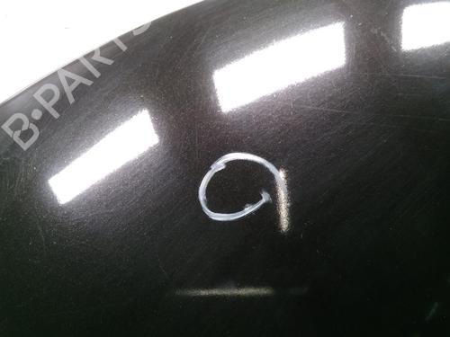 Hood PEUGEOT 206+ (2L_, 2M_) 1.4 i (2LKFWA, 2MKFWA) | BP20594306C1