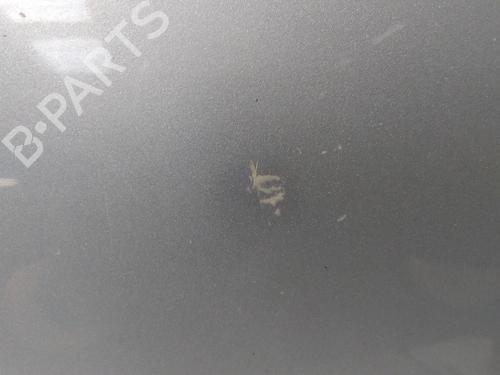 Left front door CITROËN C3 Pluriel (HB_) 1.4 | BP20514925C2 
