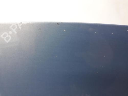 Hood RENAULT SCÉNIC II (JM0/1_) 1.9 dCi (JM0G, JM12, JM1G, JM2C) | BP20562908C1 