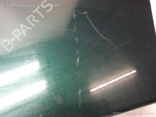 Right front fenders CITROËN EVASION MPV (22, U6) 2.0 | BP20558042C42 