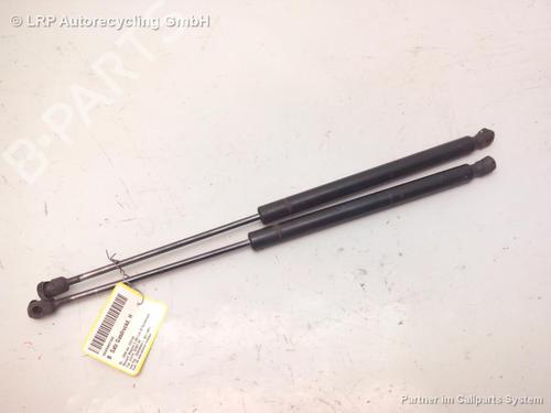 Used Tailgate lift support Tailgate lift support RENAULT MEGANE II Estate (KM0/1_) 1.9 dCi (131 hp) 20567309 20567309