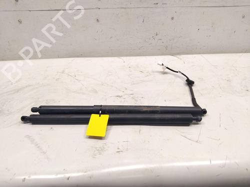 Used Tailgate lift support TESLA MODEL Y (5YJY) EV (347 hp) 31687722