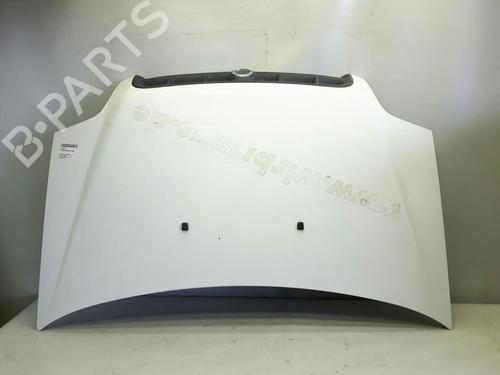 Used Hood FIAT DOBLO Box Body/MPV (223_) 1.3 JTD 16V (70 hp) 20563088