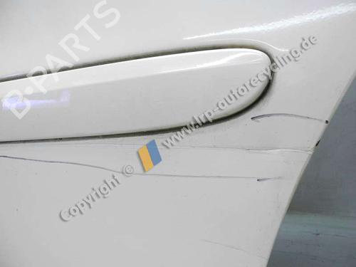 Left rear door MERCEDES-BENZ E-CLASS (W211) E 200 CDI (211.004) | BP20577869C4 