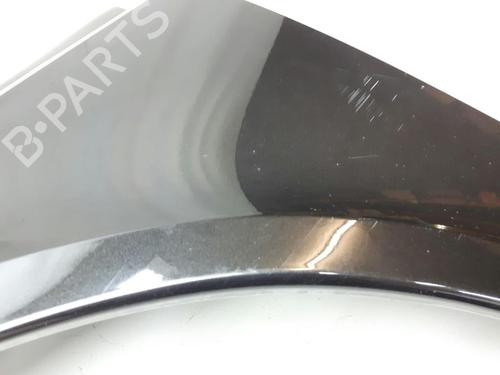 Left front fenders RENAULT LAGUNA II Grandtour (KG0/1_) 1.9 dCi (KG1V) | BP20557734C41 