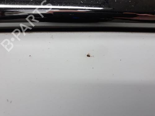 Hood HYUNDAI H-1 Van (A1) 2.5 CRDi | BP20562648C1 